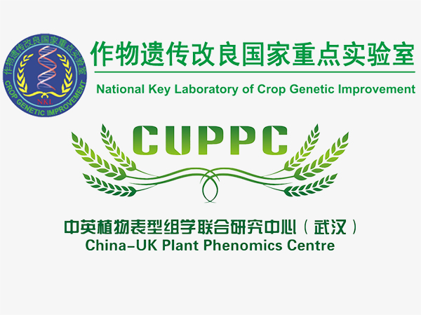 作物遗传改良国家重点实验室 华中农业大学作物表型中心