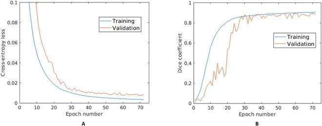 AwnImageAnalysisandPhenotypingUsingBarbNet使用BarbNet进行芒的图像分析和表型分析