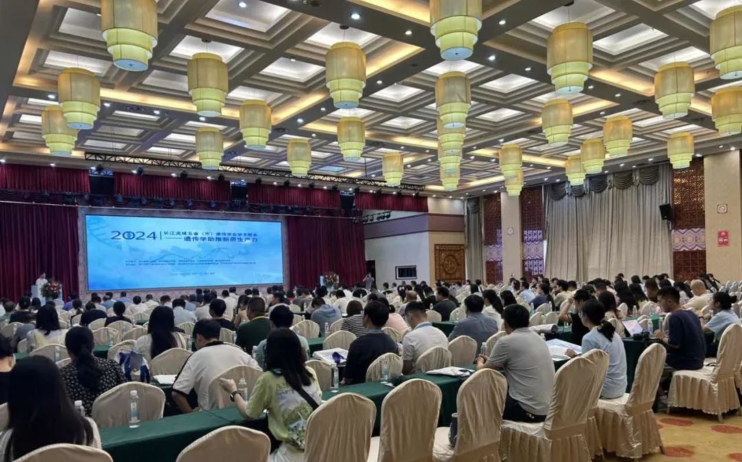 谷丰光电主会场报告闪耀全场